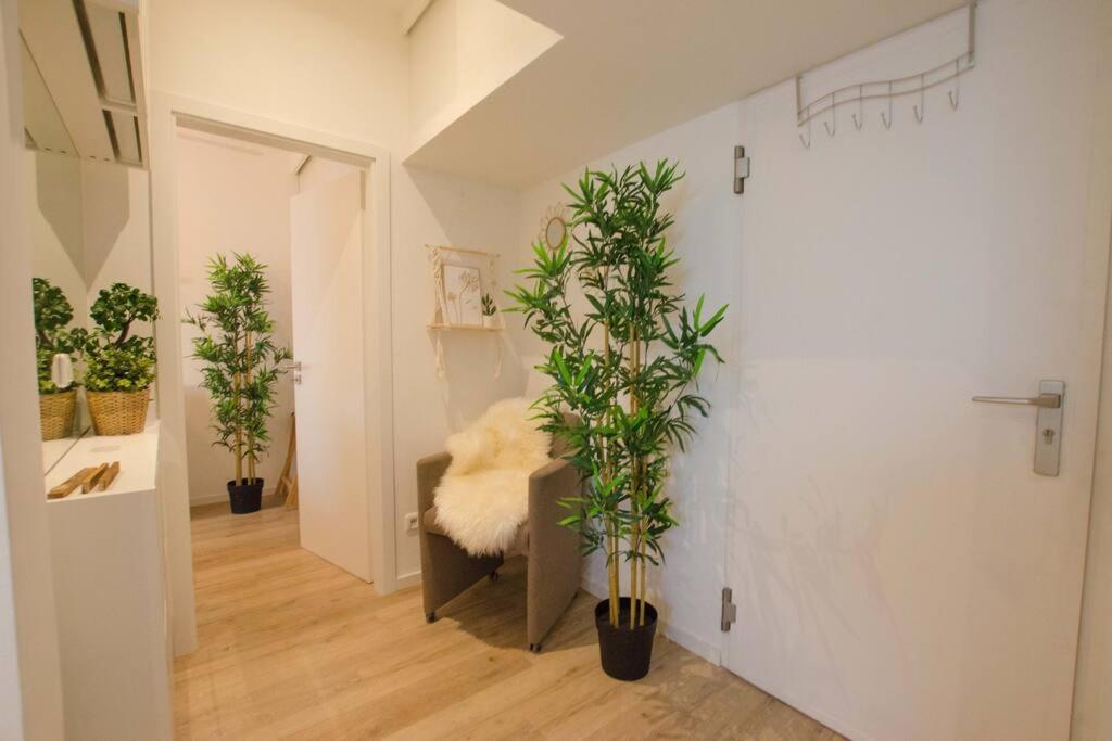 Casarina - Gemuetliches Apartment Im Zentrum Augsburgo Exterior foto